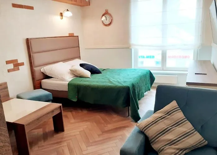 Augustianska Luxury Apartment